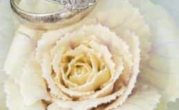 Rings on a rose