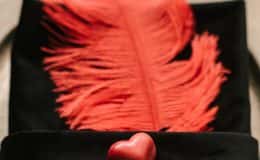 Place setting with feather and velvet napkin