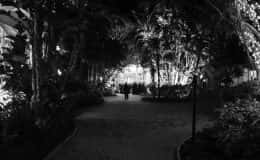 Entrance to Cocktail Hour