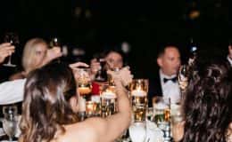 Guests toast the bride and groom